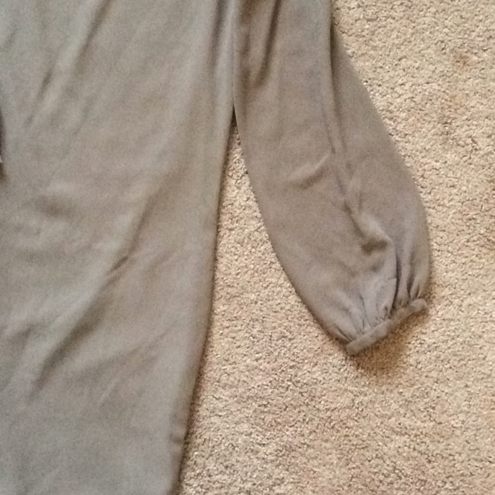 Naked Zebra Taupe Shift Dress - Picture 2 of 6